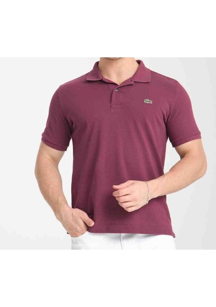 Polo Classıc Fit Mürdüm modelleri