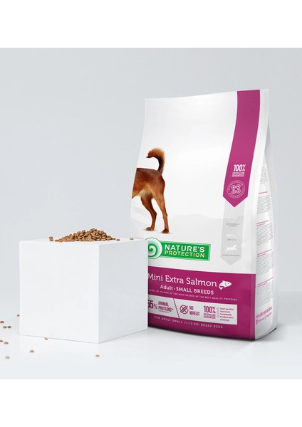Nature's Protection Küçük Irk Somonlu Yetişkin Köpek Maması 2 kg fiyatları