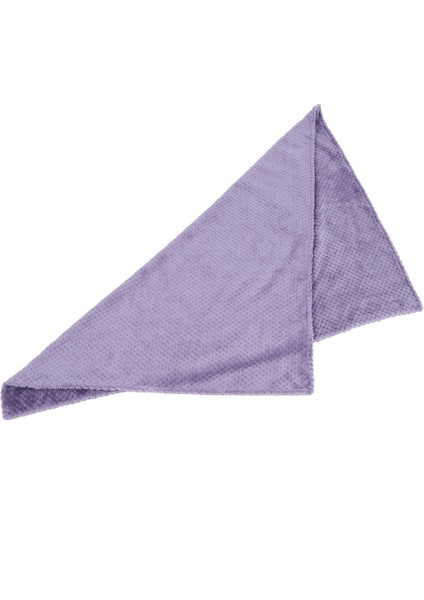 Yıkanabilir Pet Battaniye Kış Sıcak Kalın Köpek Atmak Battaniye Uyku Mat Yumuşak Polar Kapak (Mor L 100 * 80 Cm) (Yurt Dışından)