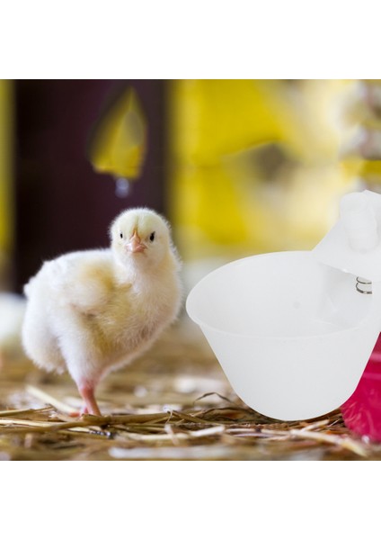 12 Adet Kuş Otomatik Içme Asılı Bardak Bıldırcın Güvercin Kafesi Kuşlar Besleme Ekipmanları (Yurt Dışından) fiyatları