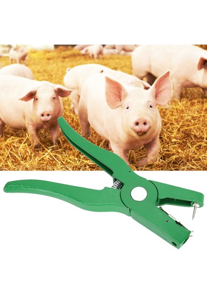Metal Kümes Hayvanları Kulak Etiketi Pense Ekipmanları Hayvancılık Işaretleme Aracı Çiftlik Hayvanları Için Yeşil (Yurt Dışından)