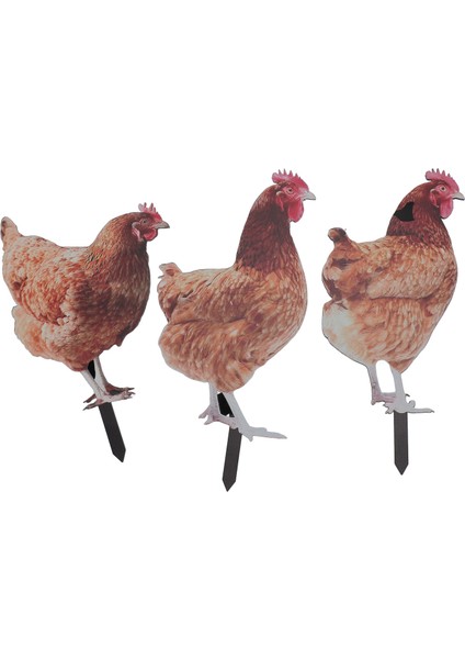 3 Adet Tavuk Bahçe Stakes Gerçekçi Tavuk Tavuk Heykeli Dekoratif Akrilik Hayvan Yard Stakes Işareti Açık Bahçe Için (Yurt Dışından)