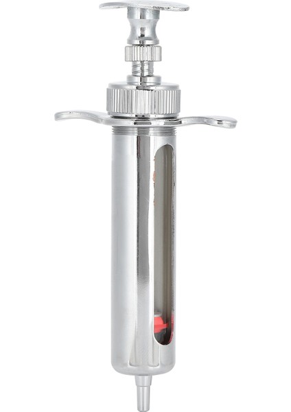 Metal Veteriner Şırıngası Güvenli Doğru Ölçekli Hayvan Şırınga Domuz Tavuk Koyun Cowlong 10ML (Yurt Dışından)