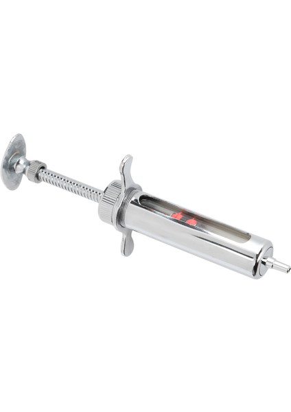 Metal Veteriner Şırıngası Güvenli Doğru Ölçekli Hayvan Şırınga Domuz Tavuk Koyun Cowlong 10ML (Yurt Dışından) fırsatları