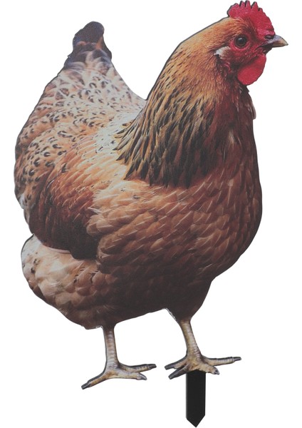Tavuk Kazık 3D Simülasyon Akrilik Istikrarlı Speküler Tavuk Dekoratif Zemin Fişi Bahçe Çim Yard Için YKLU090A (Yurt Dışından)