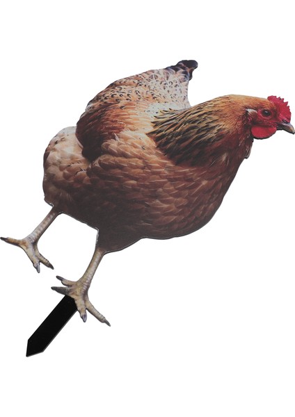 Tavuk Kazık 3D Simülasyon Akrilik Istikrarlı Speküler Tavuk Dekoratif Zemin Fişi Bahçe Çim Yard Için YKLU090A (Yurt Dışından)
