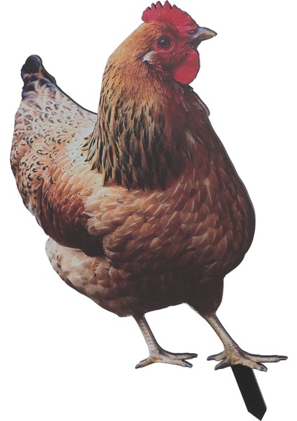 Tavuk Kazık 3D Simülasyon Akrilik Istikrarlı Speküler Tavuk Dekoratif Zemin Fişi Bahçe Çim Yard Için YKLU090A (Yurt Dışından)