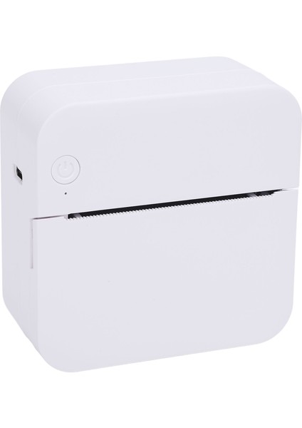 Taşınabilir Termal Mürekkepsiz Yazıcı Kablosuz Bluetooth 200DPI Siyah Beyaz Baskı Taşınabilir Cep Yazıcısı Fotoğraf Arızalı Soru (Yurt Dışından)