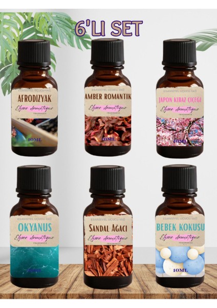8'li Set Esansiyel Uçucu Koku Yağı Difüzör Esansı Buhurdanlık Yağı Aromaterapi Yağı