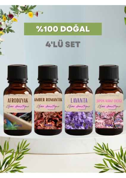 8'li Set Esansiyel Uçucu Koku Yağı Difüzör Esansı Buhurdanlık Yağı Aromaterapi Yağı
