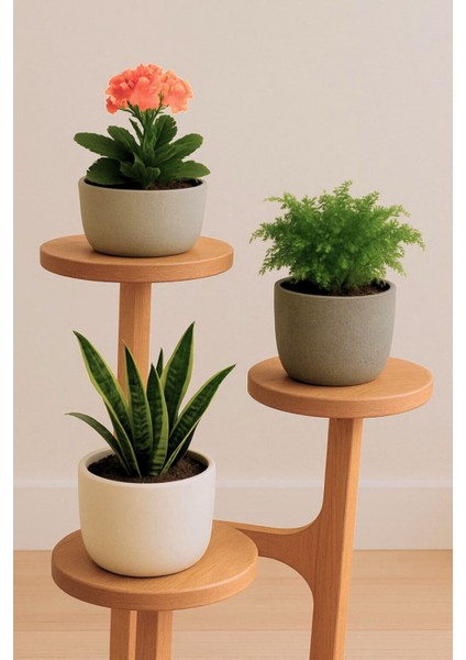 3 Raflı Ahşap Saksılık Çiçeklik | %100 Masif Kayın | Doğal, Şık ve Fonksiyonel Tasarım | Naturel Ahşap Renk fırsatları