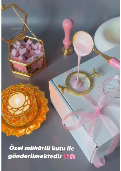 Asansör Zincirli Kutup Yıldız Harfli Taşlı Y Kolye modelleri