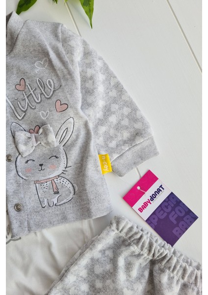 3-9 Ay Kız Bebek Takımı Stay Little Puan 3'lü Hırkalı Gri fiyatları