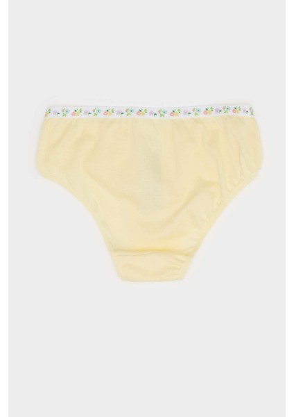 Kız Çocuk Desenli 3'lü Slip Külot E7074A825SP