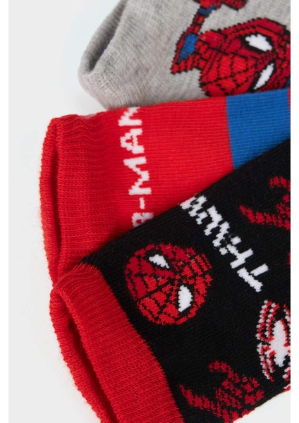 Erkek Çocuk Marvel Spiderman 3'lü Pamuklu Patik Çorap F2580A8NS