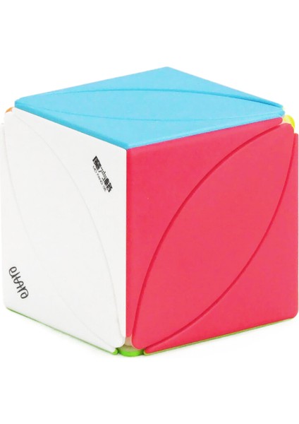 Qiyi Serisi Sihirli Küp Qy Özel Şekilli Qıyı 2x2 3x3 4x4 5x5 Puzzle Çocuk Oyuncakları Hediye Pyraminx Skewb Cubo Magico (Yurt Dışından)