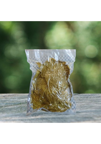 Salamura Asma Yaprağı (Vakumlu Paket)