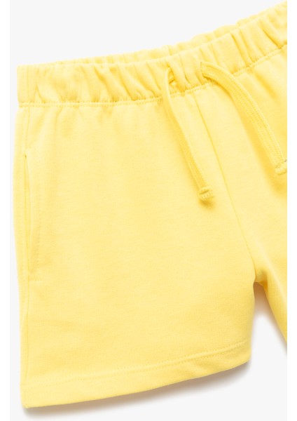 Cep Detaylı Beli Bağcıklı Basic Şort modelleri