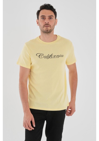 Alexandergardı Baskılı T-Shirt modelleri
