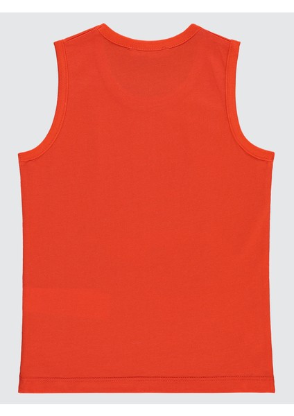 Erkek Çocuk Tişört 2-5 Yaş Nar fiyatları