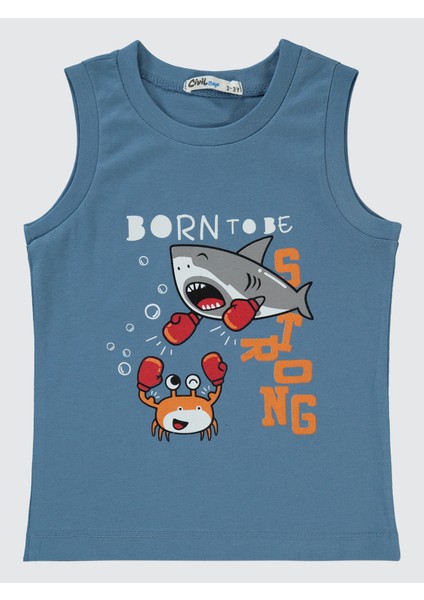 Erkek Çocuk Pijama Takımı 2-5 Yaş Indigo modelleri