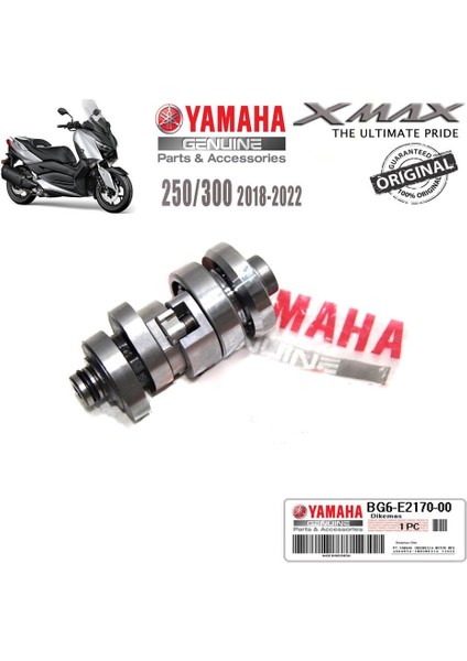 Xmax 250/300 2018-2024 Orijinal Eksantrik Kam Mili