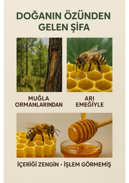 Çam Balı modelleri