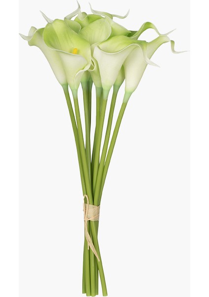 9'lu Lilyum Buket Yeşil 33CM