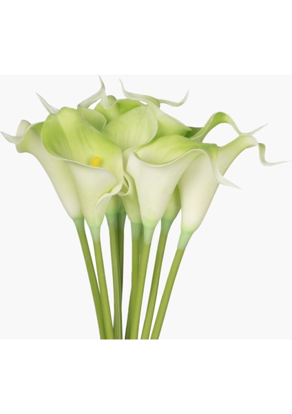 9'lu Lilyum Buket Yeşil 33CM fiyatları
