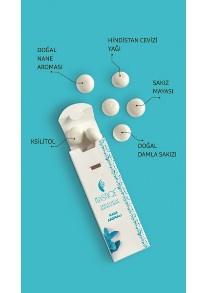 Nane Aromalı Damla Sakızlı Şekersiz Sakız 20 gr X12