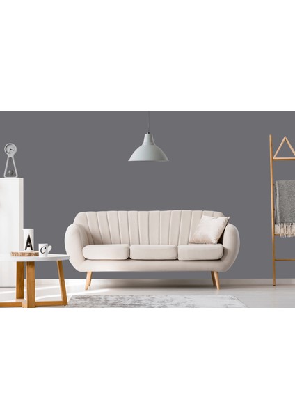 Euromax Silikonlu Silinebilir Soft Mat Boya