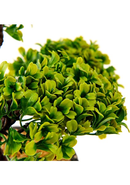 Dekoratif Saksılı Bonsai Meri Yapay Çiçek - Siyah / Yeşil - 20x20x36 cm