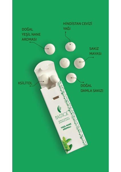 Yeşil Nane Aromalı Damla Sakızlı Şekersiz Sakız 20 gr x 12 Adet