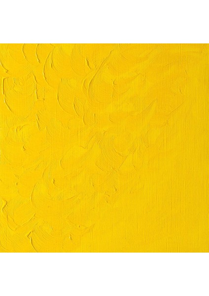Winton Yağlı Boya 200ML Chrome Yellow Hue 149