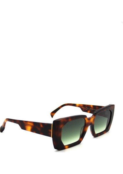 K Begonıa C03 Kadın Güneş Gözlüğü modelleri