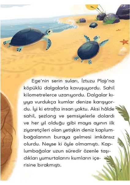 Denize Doğru