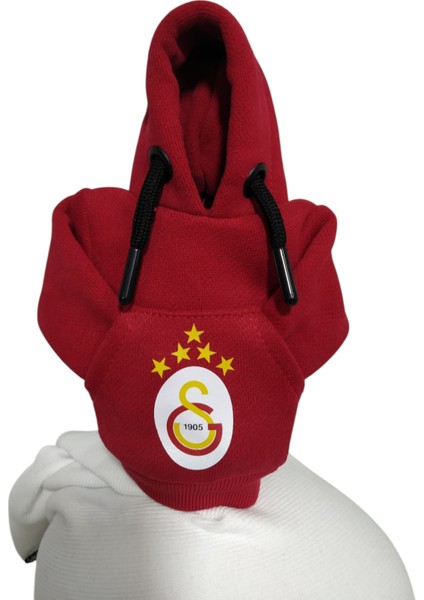 Vites Poları