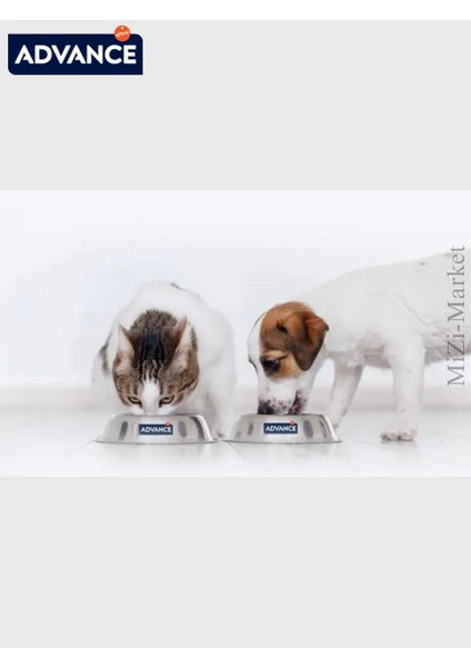 Cat Sterilized Turkey 15 kg
