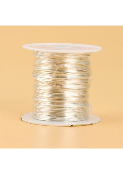 Takı Yapımı Için Metal Ip-1 Set x Takı Yapımı Takımı (0,8MMX25M, 0,4MMX10M, 1 Çift Pense)-Gösterildiği Gibi (Yurt Dışından) indirimleri