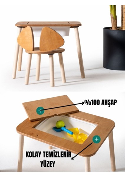 Montessori Mickey Sandalye ve Hazneli Aktivite Masası