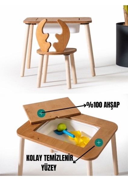 Montessori Deer Sandalye ve Hazneli Aktivite Masası