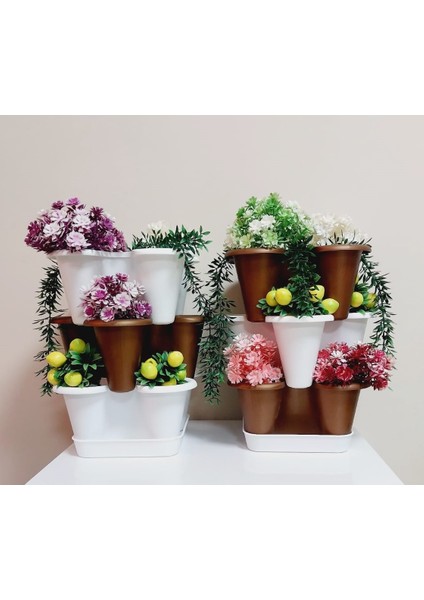 6 Katlı Şanslı Yonca Kule Saksı Seti | Çiçek Bitki Sebze Meyve Salon Mutfak Banyo Bahçe Latte fiyatları