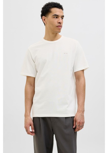 Jack & Jones 12276801 Jprblualves Ss Tee Erkek T-Shirt