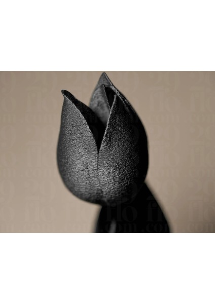 Siyah Lale – Modern Minimal Çiçek Figürü