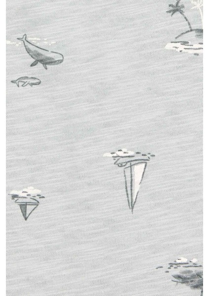 Carters Erkek Bebek Alt Üst Set modelleri