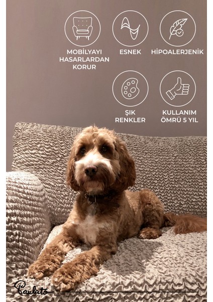 lastikli esnek ve yıkanabilir 3 kişilik koltuk örtüsü çekyat kanepe kılıfı - Düz Bej