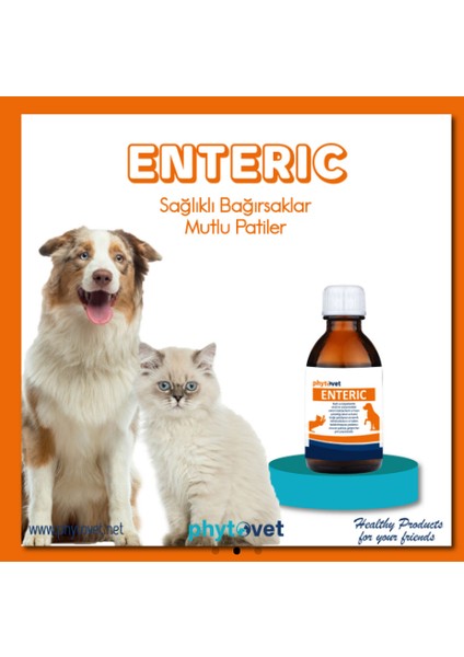 Hepatic-Kedi ve Köpekleri Için