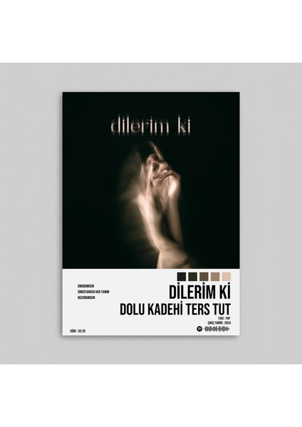 Dolu Kadehi Ters Tut - Dilerim Ki Spotify Çerçevesiz Tasarım Poster