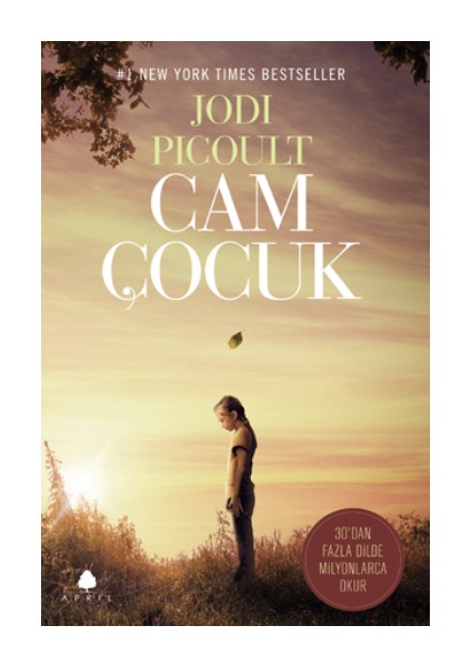 Cam Çocuk
