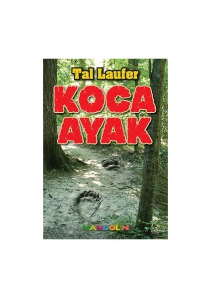 Koca Ayak